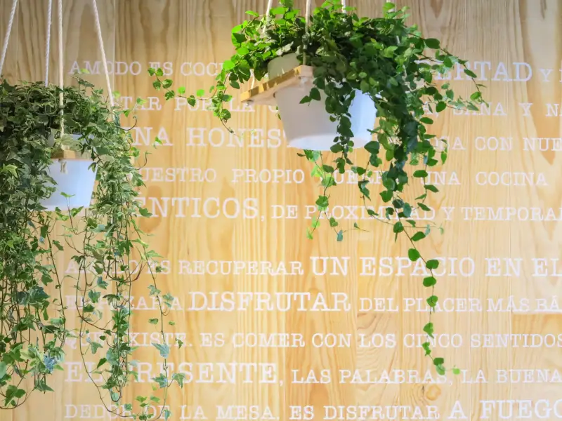 Decoración de restaurante Vigo