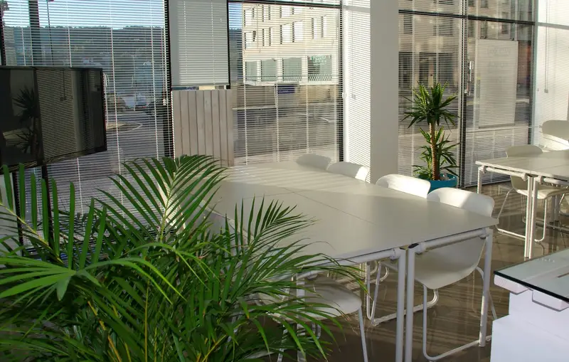 diseno de oficinas