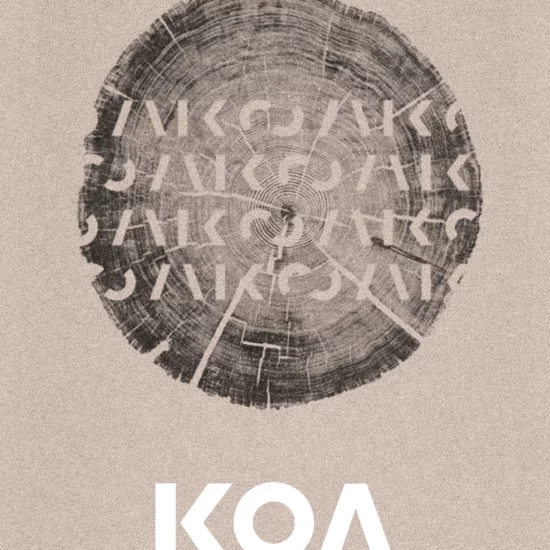 Diseño-grafico-para-restaurante-koa-poke-